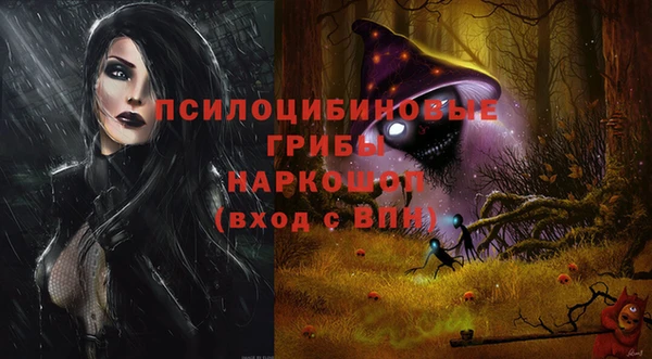круглые Каменногорск